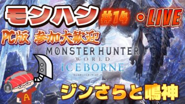 【モンハン ワールド】ジンさらと鳴神周回！　魚vsモンスター！2ndG以来のモンハンをモンスト実況者がやる　一狩り行こうぜ第14話【あかみ】