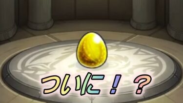 【冬のモンスト20連】止まれば勝ちが確定する神ガチャ
