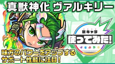 【新キャラ】ヴァルキリー 真獣神化！味方のパワーをアップするアシストスキルとショットスキルのサポート性能に注目！【新キャラ使ってみた｜モンスト公式】