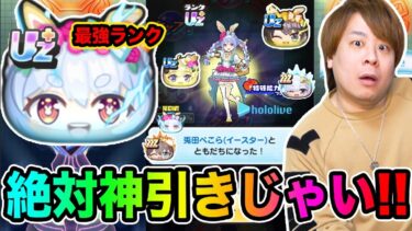 ぷにぷに「もう爆死は許されない。」最強ランクUZ＋ぺこら登場のホロライブコラボガシャ第5弾!!!【妖怪ウォッチぷにぷに】  Yo-kai Watchpart1739 とーまゲーム