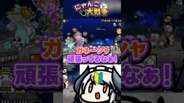 【神回】始めて2週間の初心者が上級者プレイで2章月をクリア！？ #にゃんこ大戦争