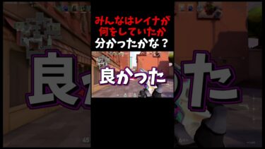 味方のレイナ、モンスト？ルネサ～ンスどっちだこれはｗｗｗ【 VALORANT 】 #shorts #valorant #ゲーム実況 #ゲーム実況者