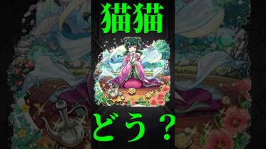【モンスト】猫猫使ってみた　攻撃と防御の両刀　#モンスト　#モンスターストライク  #薬屋のひとりごと　#猫猫　#壬氏　#クスシキ　#Mrs. GREEN APPLE